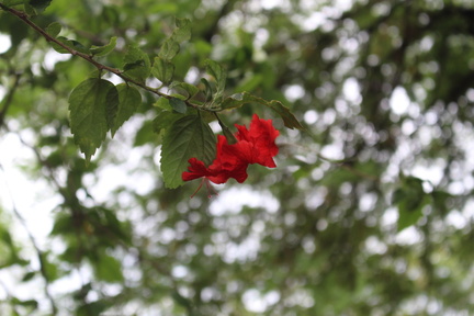 Anugraha - Vidhya Vikas