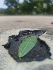 Yashwin - AKR Academy