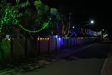 DSC02902